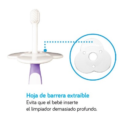 Limpiador de Lengua y Encias Begin 6+