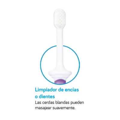 Limpiador de Lengua y Encias Begin 6+