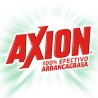 Axion